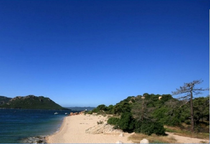 PLAGE-DE-BENEDETTU-1