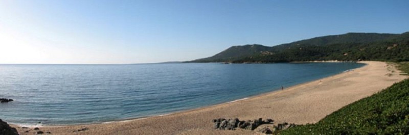 OLMETO-PLAGE-CORSE-DU-SUD-63