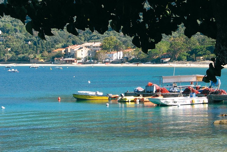 CAMPOMORO CORSE DU SUD_2