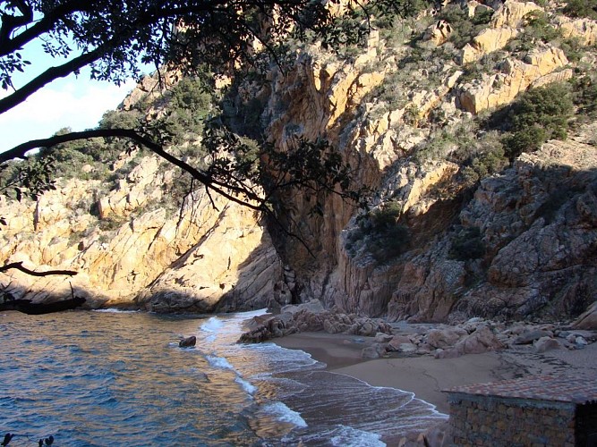 PLAGE-DE-FICAGHJOLA-2