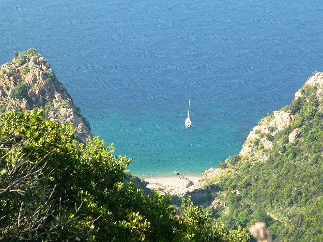 PLAGE-DE-FICAGHJOLA-5