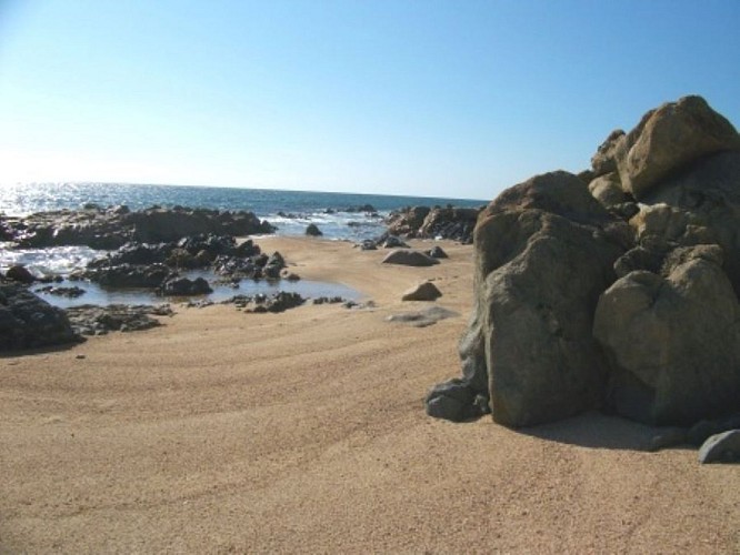 OLMETO-PLAGE-CORSE-DU-SUD-67