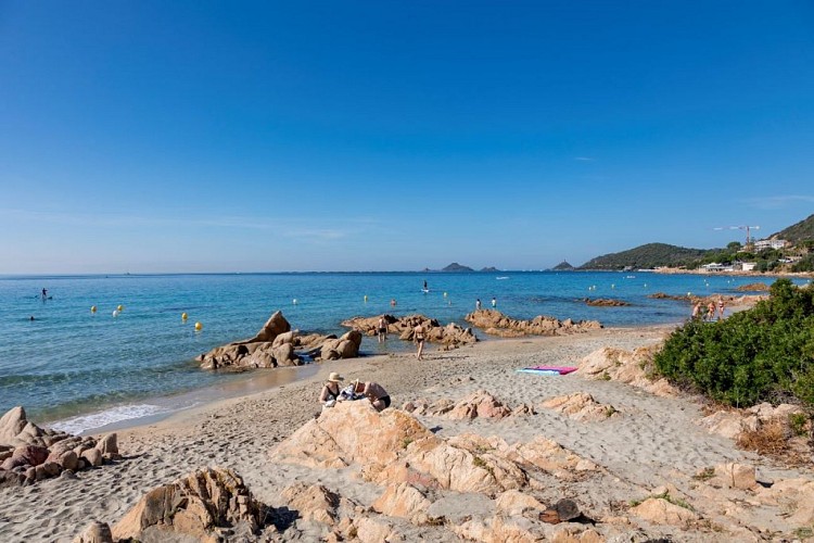 PAYS AJACCIEN_AJACCIO _PLAGE_ETE INDIEN_TERRE SACREE ©Sylvain Alessandr-52