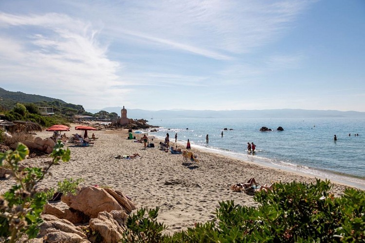 PAYS AJACCIEN_AJACCIO _PLAGE_ETE INDIEN_TERRE SACREE ©Sylvain Alessandr-54