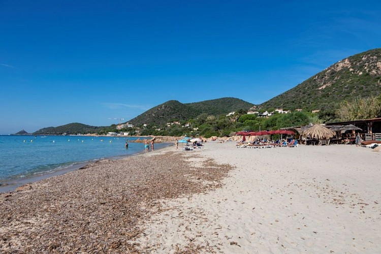 PAYS AJACCIEN_AJACCIO _PLAGE_ETE INDIEN_TERRE SACREE ©Sylvain Alessandr-59