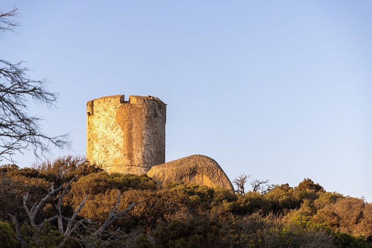 Sud Corse-33 - Copie