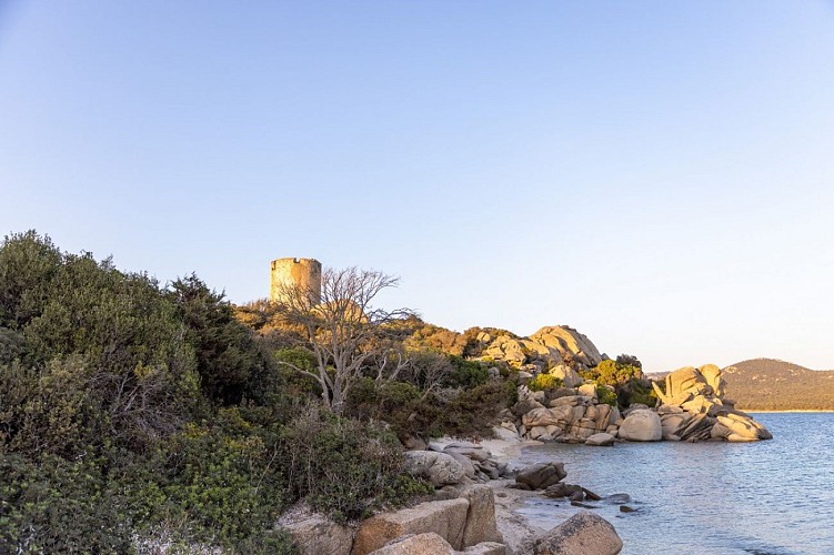 Sud Corse-68 - Copie