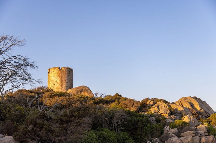 Sud Corse-49 - Copie