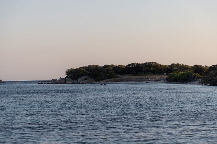 Sud Corse-66 - Copie