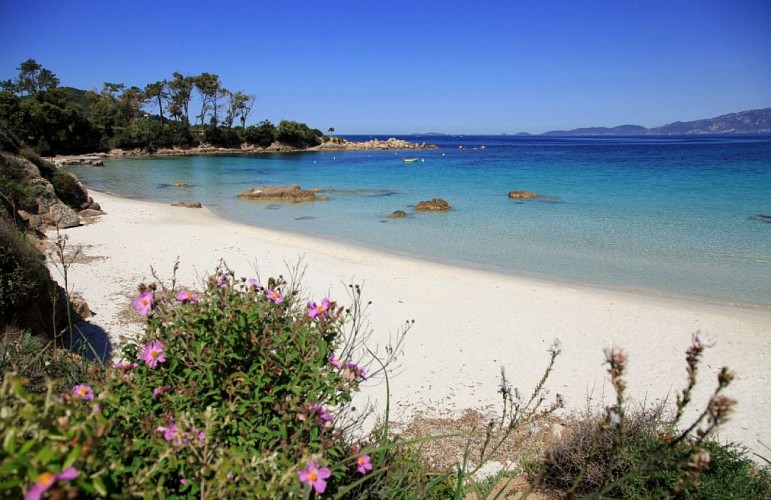 Plage d argent ©Sylvain Alessandri6