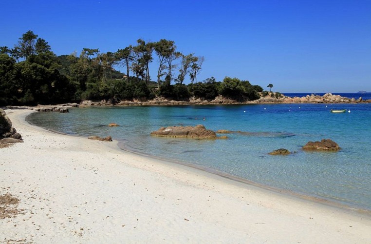 Plage d argent ©Sylvain Alessandri5