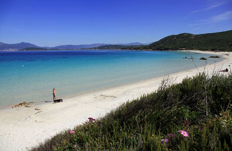 Plage d argent ©Sylvain Alessandri9