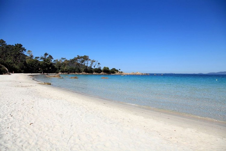 Plage d argent ©Sylvain Alessandri2