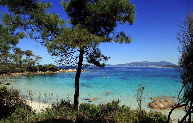 Plage d argent ©Sylvain Alessandri12