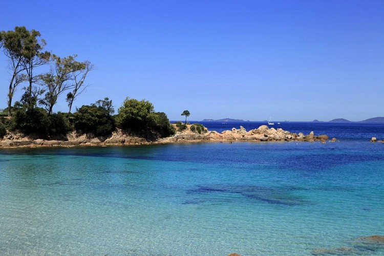 Plage d argent ©Sylvain Alessandri10