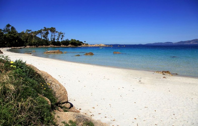 Plage d argent ©Sylvain Alessandri4