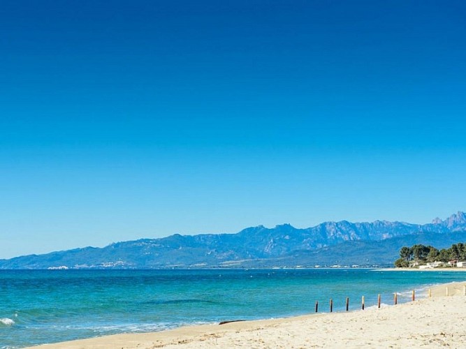 PLAGE-DE-PINIA-GHISONACCIA-11