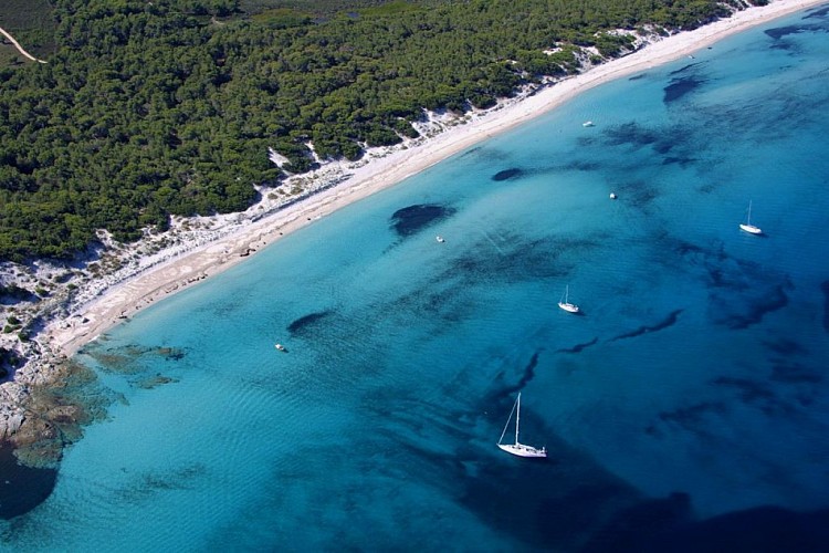 Plage-de-Saleccia1