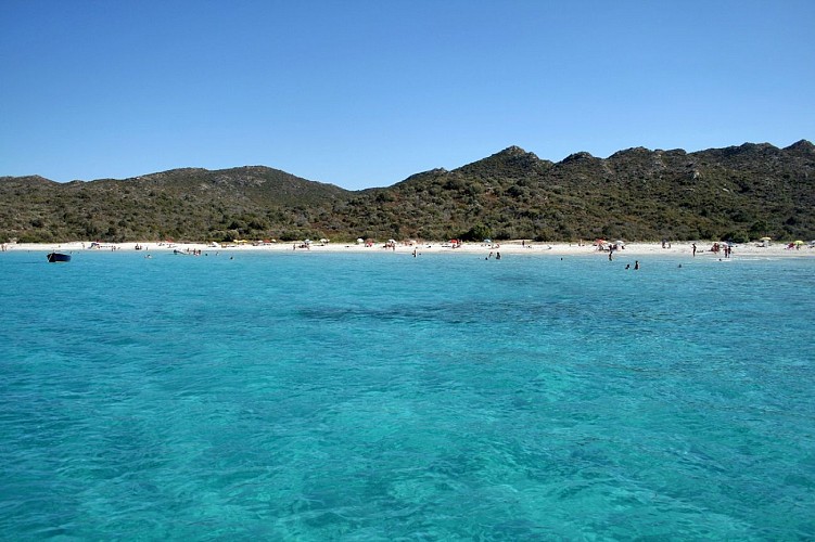 saleccia3© Sylvain Alessandri