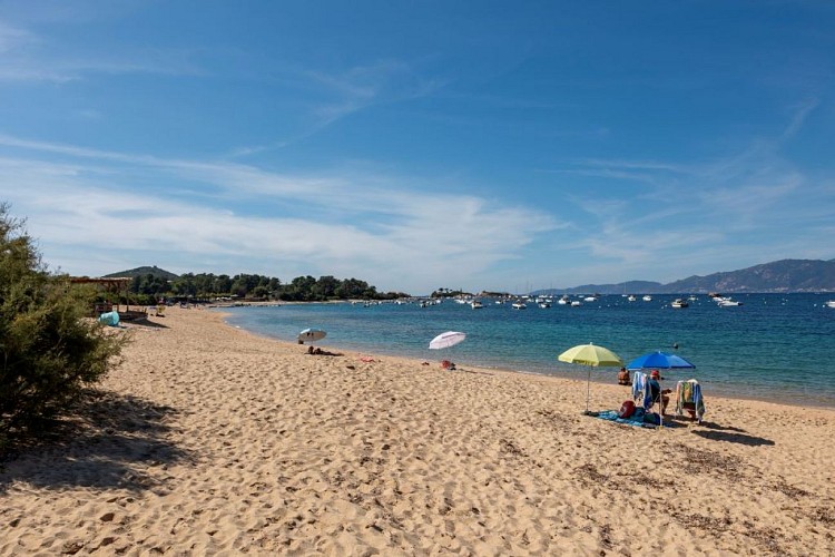pays ajaccien_ajaccio_A STAGNOLA_plage_ETE INDIEN ©Sylvain Alessandri-13