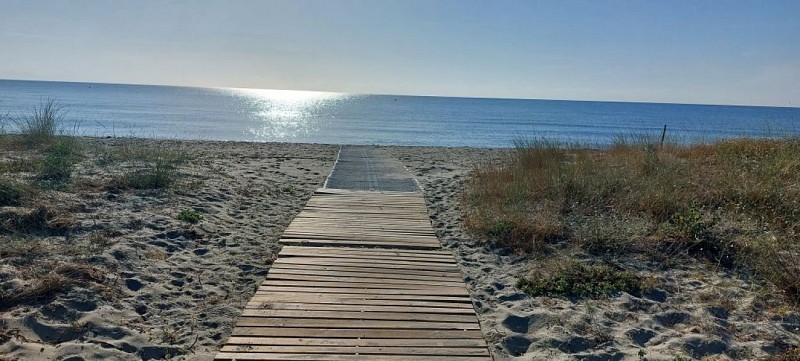 Taglio-isolacca