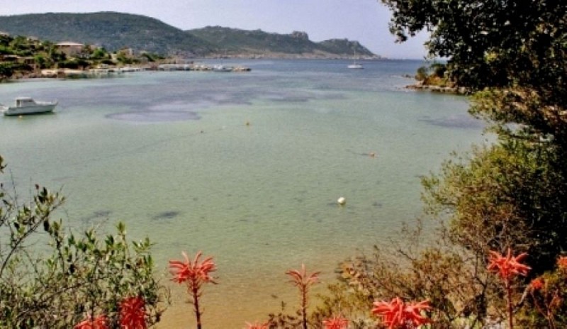 TIZZANO-PLAGE-SARTENE-CORSE-DU-SUD-14
