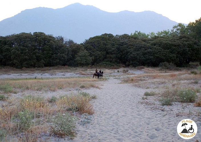 Plage valle di campoloro