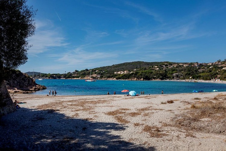 PAYS AJACCIEN-RIVE SUD_RUPPIONE_PLAGE_ETEINDIEN © ATC Sylvain Alessandri-17