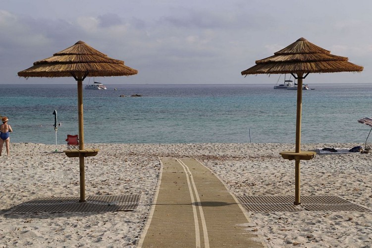 PHOTO-2023-08-10-09-56-12