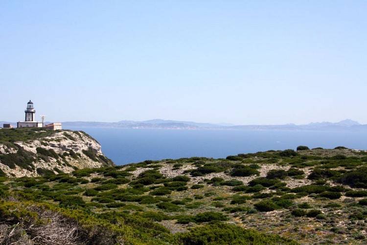 Phare-de-Pertusatu-6