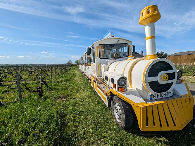 Le p'tit train Vignes et Loire