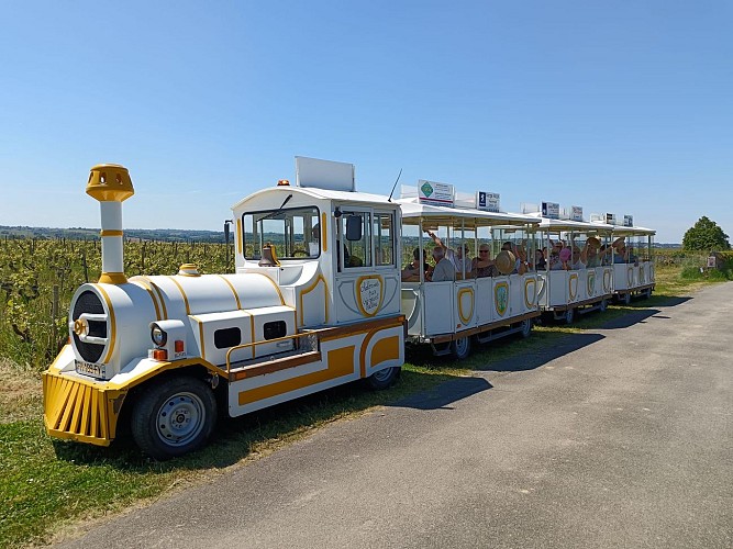 Le p'tit train Vignes et Loire