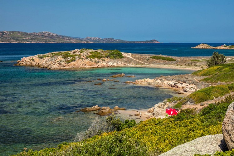 plage_santamanza_bonifacio