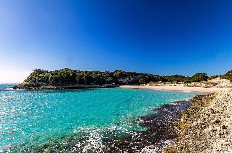 2-sperone-petit-72dpi