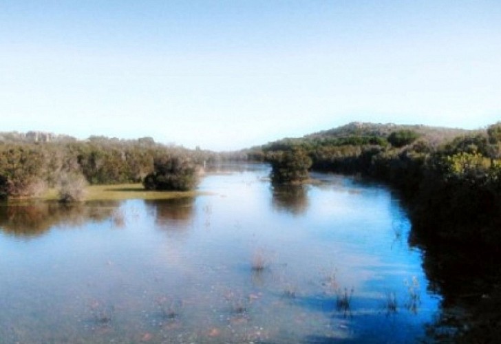 RESERVE NATURELLE DES TRE PADULE DE SUARTONE _1_1