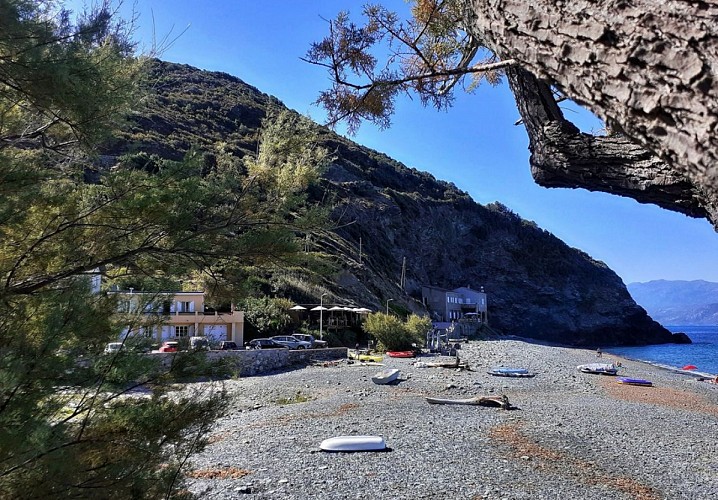 PLAGE MARINE DE NEGRU