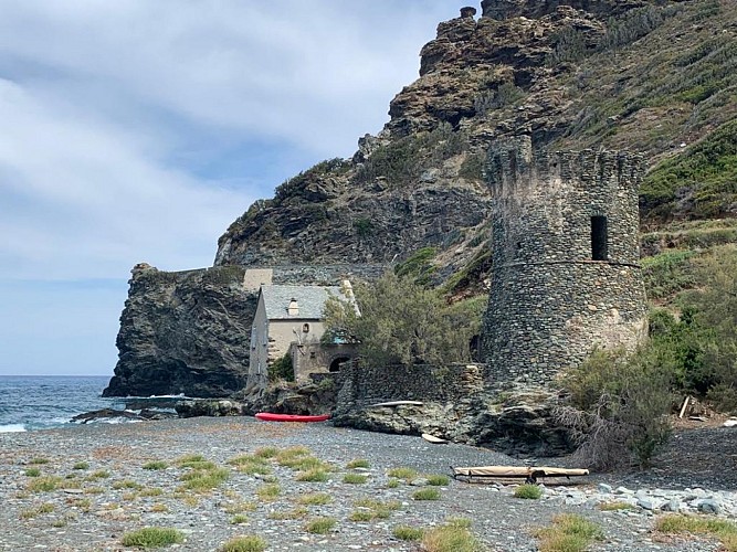 PLAGE MARINE DE NEGRU