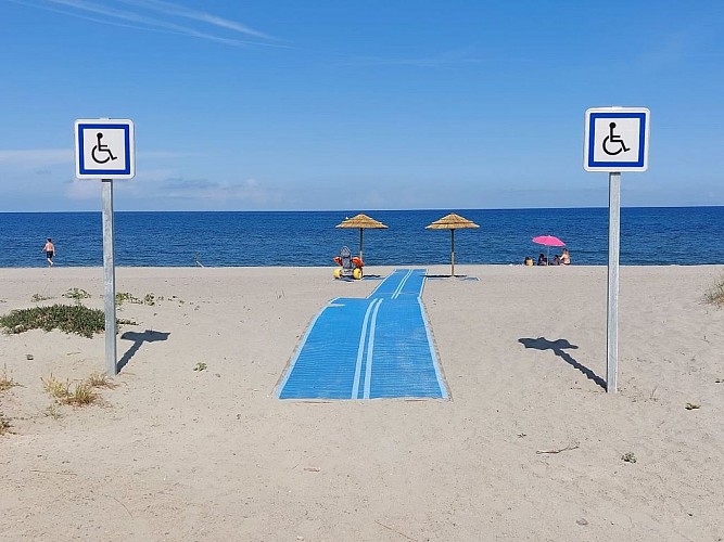 Plade-de-sorbo-ocagnano-handi