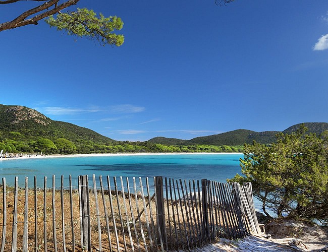 Plage de palombaggia PV