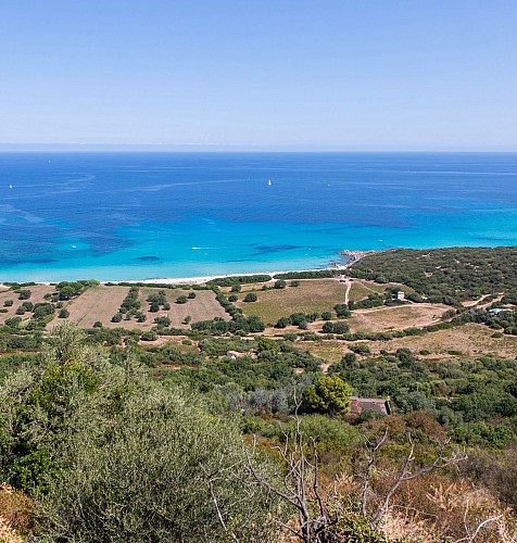 Les Rivages de Corbara