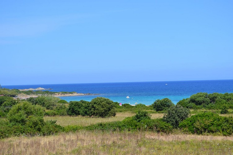 Les Rivages de Corbara