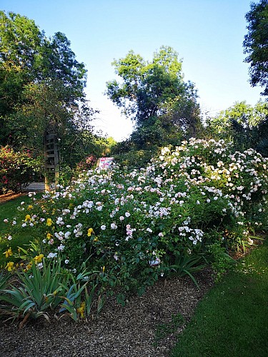 Roseraie Les Chemins de la Rose