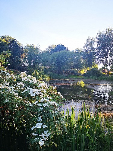 Roseraie Les Chemins de la Rose