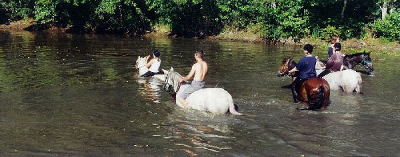 Ferme Équestre "La Tesnière"