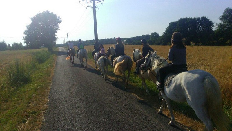 Ferme Équestre "La Tesnière"