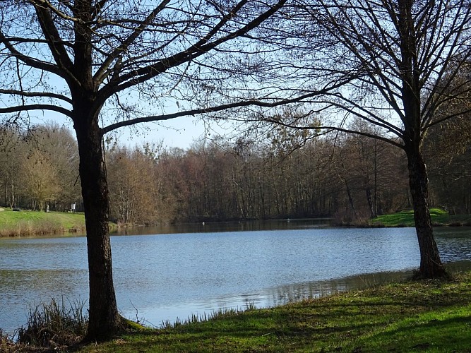 Plan d'eau de Baugé