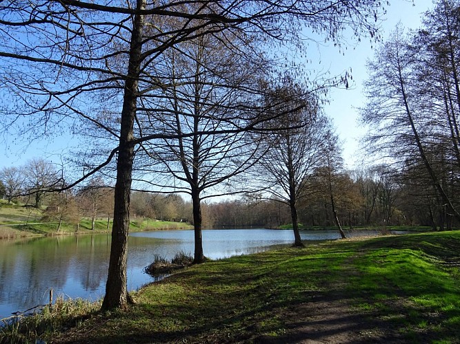 Plan d'eau de Baugé