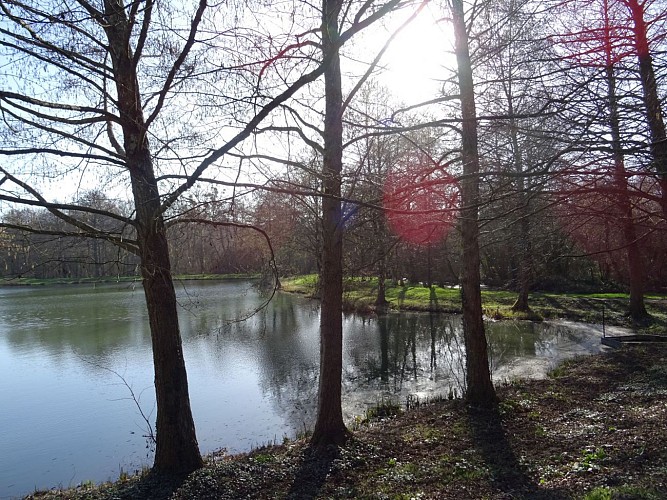 Plan d'eau de Baugé