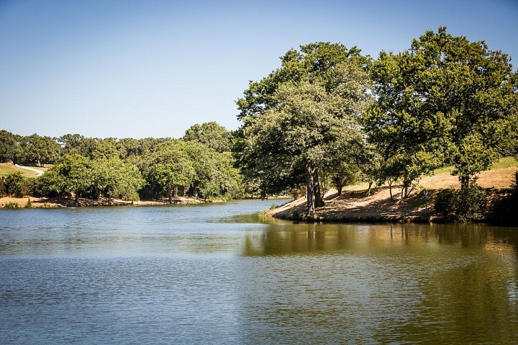 ETANG DU VAL SAINT MARTIN