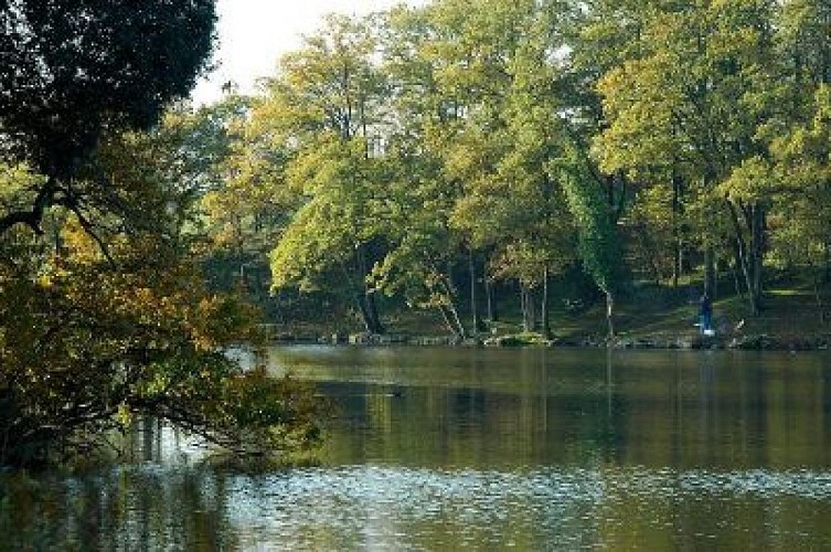 ETANG DU VAL SAINT MARTIN